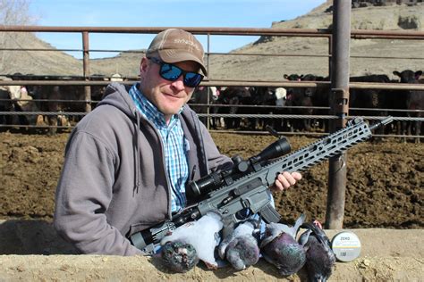 Question about Airguns and small game hunting. : r/airguns .